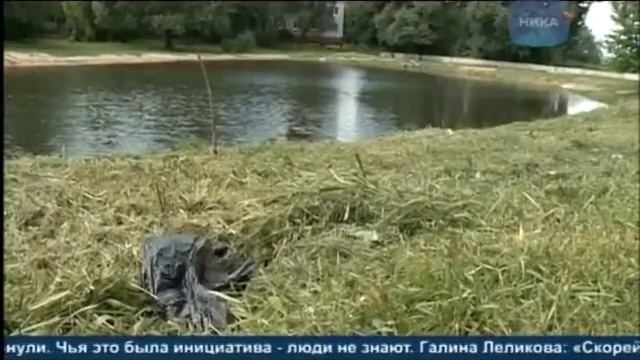 Пруд на Пухова