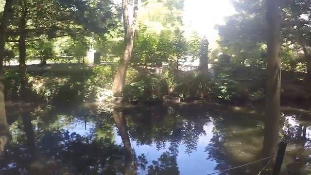 Чудесное лето во Франции. Парки Тулузы. смотреть онлайн