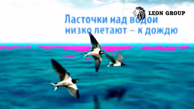 ПРОДАЖА КОНДИЦИОНЕРОВ GENERAL CLIMATE смотреть онлайн