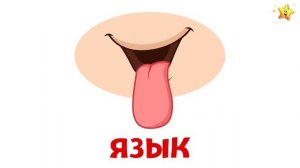 Как устроен человек_Части тела для детей Карточки Домана Развивающие мультики для детей