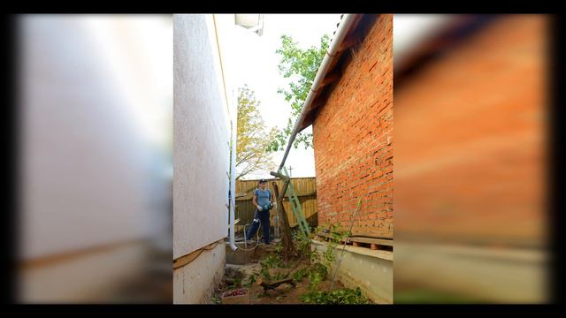 Варварский сбор сливы и побочная заготовка дров. [time lapse] смотреть онлайн