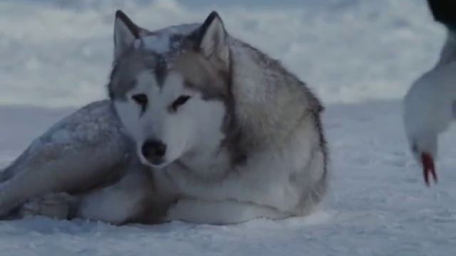 Gregorian-Moment Of Peace Vs Antarktika