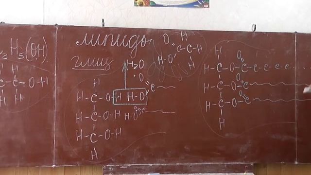 20 Спирт. Муравьиная, уксусная кистоты. Радикал. Стеарин смотреть онлайн