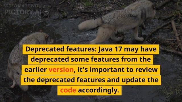 Making the Move to Java 17: A Walkthrough for Java 11 Developers #javadevelopment #javaframework смотреть онлайн
