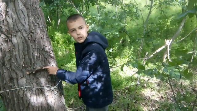 ставим кармушку для птиц смотреть онлайн