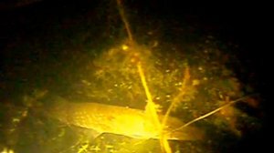 подводная охота.река Миасс 08.wmv