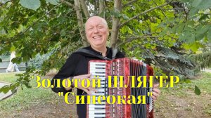 Обалденная песня!!!? СИНЕОКАЯ!!! Николай Засидкевич.