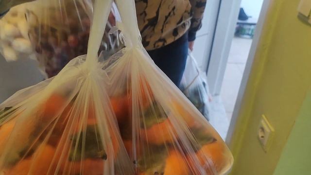 Влог. Дождались рынка. Затопили соседей. Не могу выйти из дома. Влог Турция Анталия. Домашний влог. смотреть онлайн