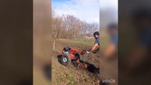 пашем целину люцерну мотоблоком мтз весна 2023 год