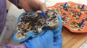 Заливные кормушки для птиц из свиного сала в формах для выпечки