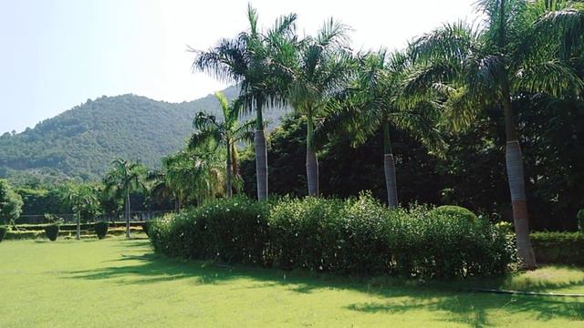 Every green flute music and peace of mind#evergreen #flute #Mahesh Kumar смотреть онлайн