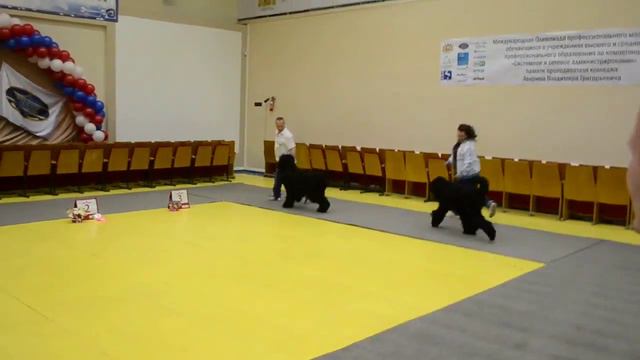 DSC 8889 смотреть онлайн