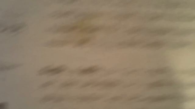 Codex Seraphinianus By Luigi Serafini Part 2