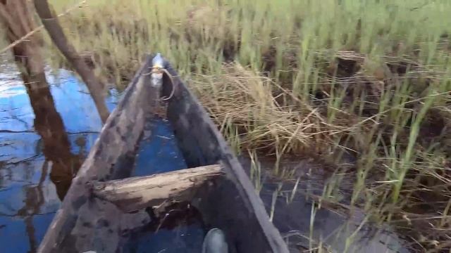 Проверяем   сеть..на   разливах..