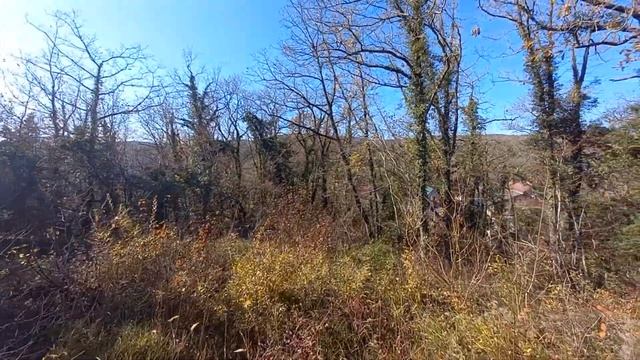 Залесье 10 соток смотреть онлайн