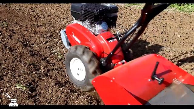 Культиватор Caiman Roto 60S