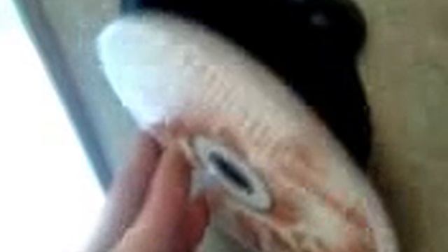 бассы смотреть онлайн