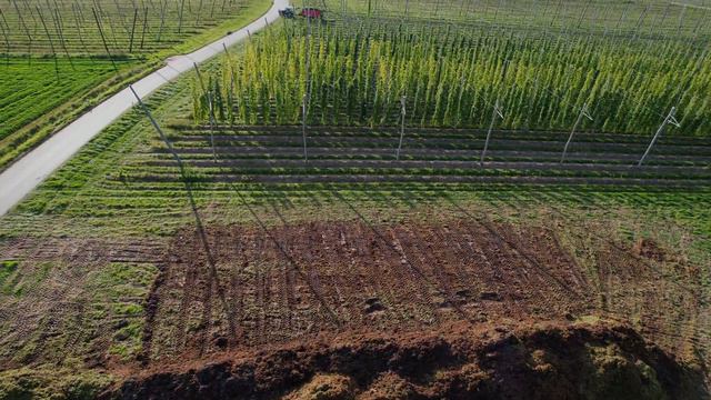 Hopfenernte in der Hallertau - Wie funktioniert die Ernte des "grünen Goldes смотреть онлайн