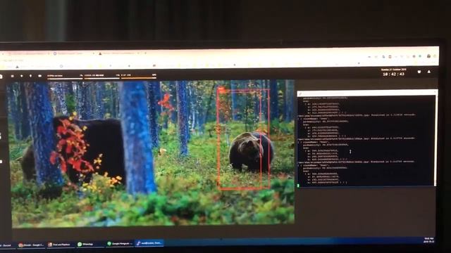 Yolo V3 Object Detection 5fps on a Live Stream with Shinobi and C++ смотреть онлайн