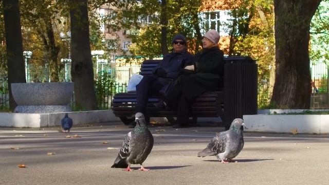 Парк им. Островского г. Ступино. Осенняя зарисовка смотреть онлайн