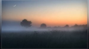 Георг Отс - Не могу я тебе в день рождения.mp4