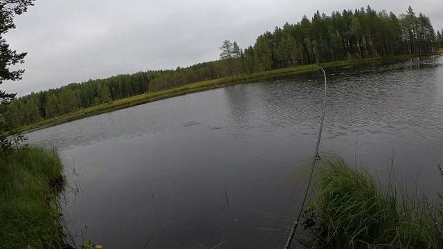 Щука На Спиннинг. Окунь На Спиннинг. Рыбалка с друзьями. Атмосферная рыбалка. смотреть онлайн