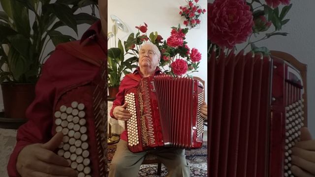 Листья летнего сада. смотреть онлайн