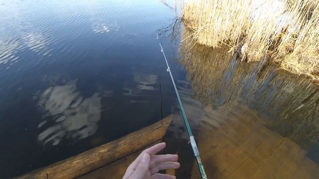 Рыбалка на озере Палецкое (Полецкое). День первый. Плотва как с пулемёта! (7 серия) смотреть онлайн