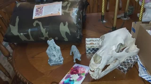 ЧЕРЕП ЛЬВА И ПРОЧИЕ ДАРЫ. ВЕДЬМИНА ИЗБА ▶️ ИНГА ХОСРОЕВА. смотреть онлайн