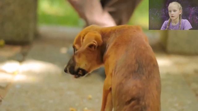 ПОПРОБУЙ НЕ ЗАПЛАКАТЬ ЧЕЛЛЕНДЖ I САМОЕ ГРУСТНОЕ ВИДЕО I Блондинка ТВ смотреть онлайн