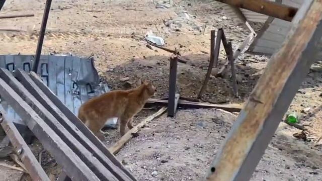 единый воспользовавшийся смотреть онлайн