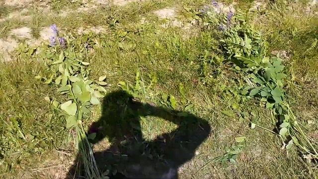 Металлоискатель Delta Pulse ,чувствительность  на автомобиль.