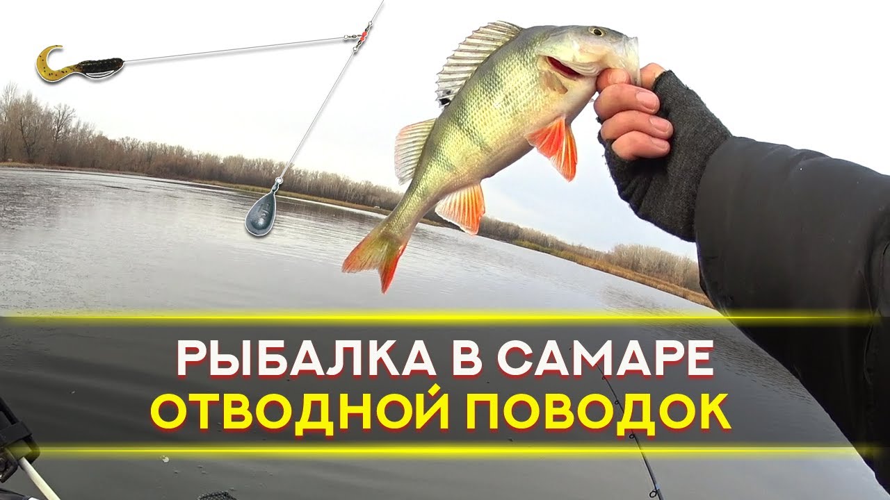 Крупный осенний окунь на отводной поводок с лодки. Конец октября