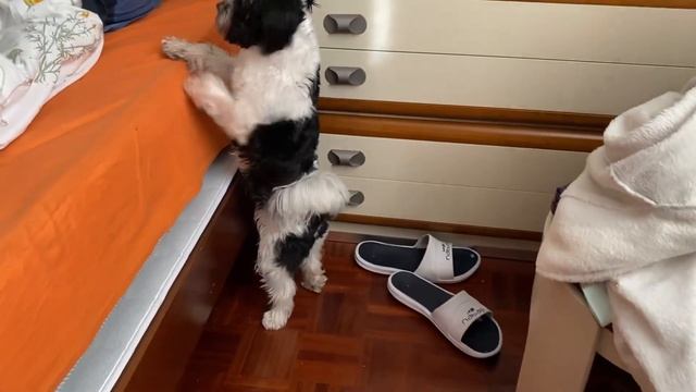 ??КЕВИН ПРОСИТСЬЯ К МАМЕ В КОМНАТУ?? смотреть онлайн