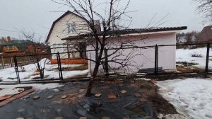 как обрезать заросшую грушу с волчками