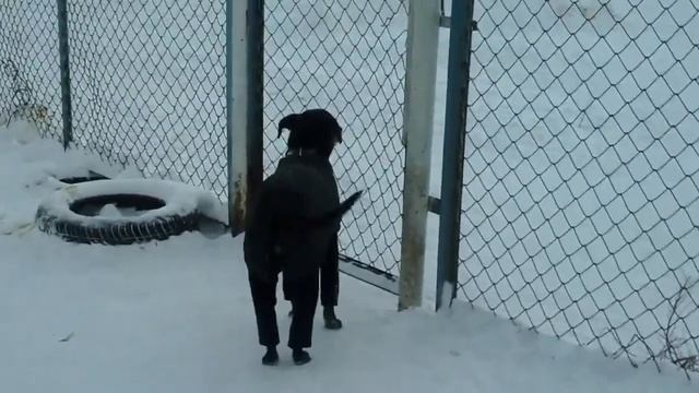 Генри(1) смотреть онлайн
