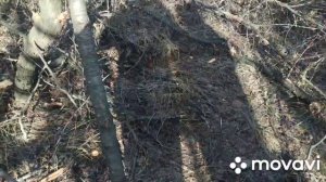 Петли на куницу установка и проверка.