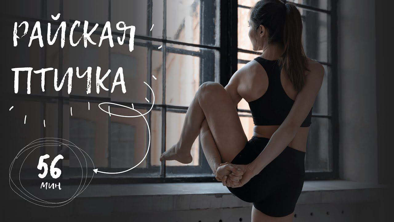 Комплекс освоения райской птички | йога дома