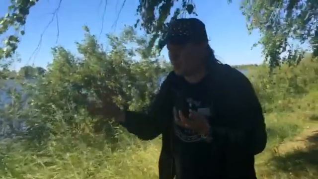 Зимняя липа смотреть онлайн