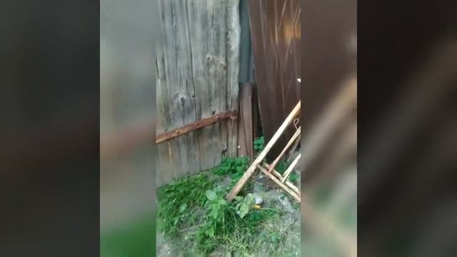 Паук на руке смотреть онлайн