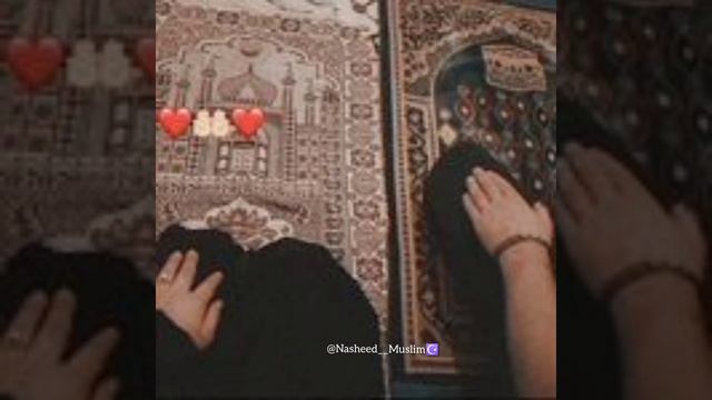 Нашиды-Видиш Эти Звезды🌌✨ смотреть онлайн