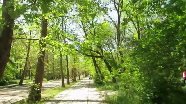 Города Крыма. Саки .Крым смотреть онлайн