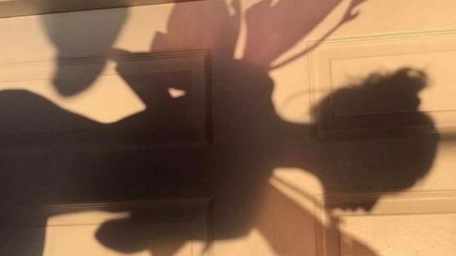 ты ешь и не набираешь? {sabliminal} смотреть онлайн