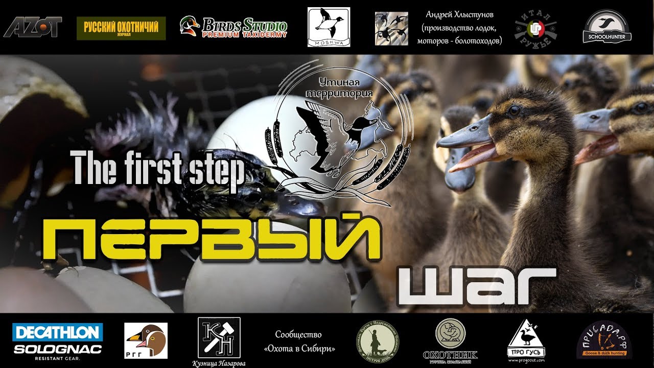 Утиная территория. Первый шаг