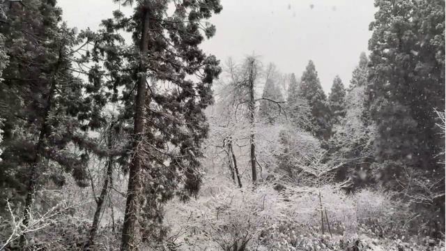 10 Minutes of Soothing Relaxing Music with Beautiful Sceneries смотреть онлайн