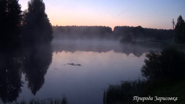 Утро на Пруду с Туманом и Звуками Природы | Птицы Поют на Рассвете в Деревне ~ ? смотреть онлайн