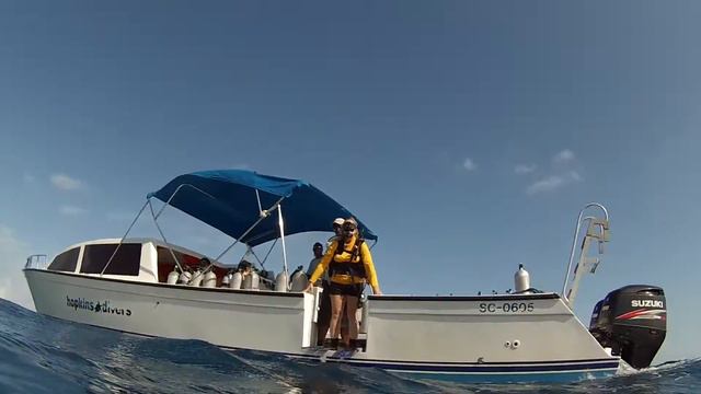 2015 Belize SCUBA Atoll Diving unedited 131 смотреть онлайн