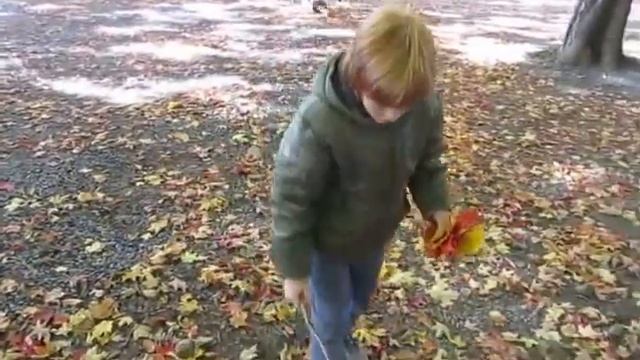 "Золотые листья вижу..." стихи Надежды Люликовой. Читает Надежда Люликова. смотреть онлайн
