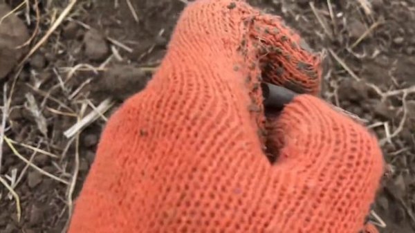 Nokta Makro Simplex PLUS ПРИВЫКАЮ К ПРИБОРУ