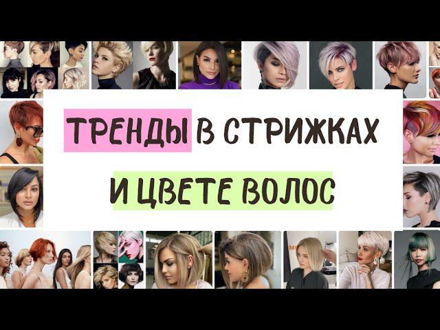 Тренды в стрижках и цвете волос | Стрижки по типу волос и форме лица смотреть онлайн